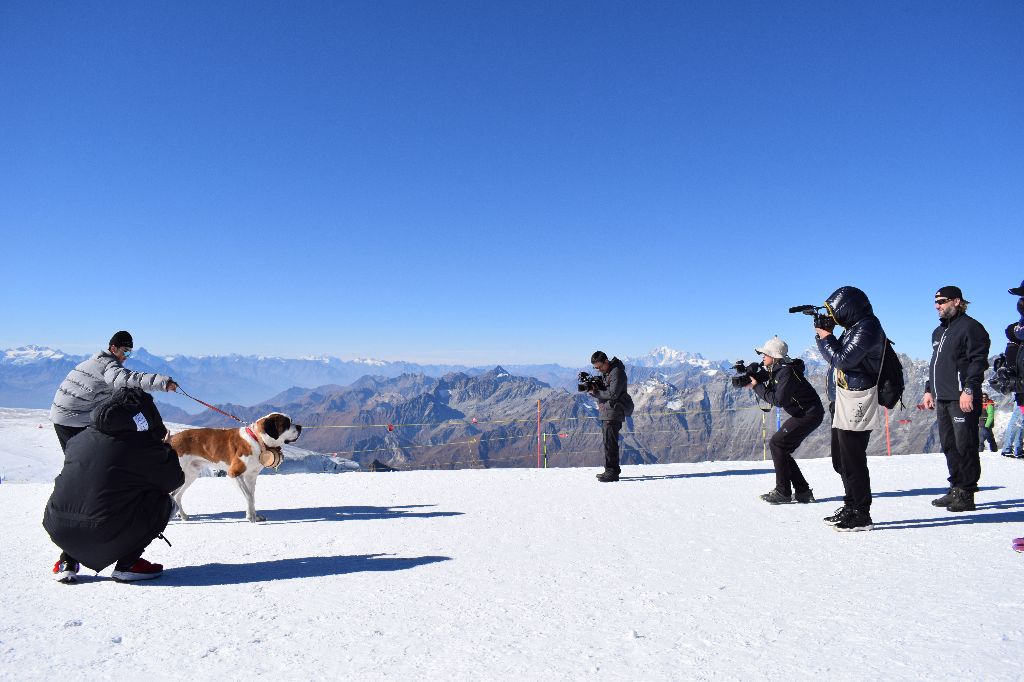 De L'orée Des Montagnes - A'perro & Bricotine participe à une émission TV Chinoise